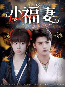 小福妻（62集）-吾爱短剧屋