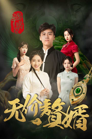 鉴宝传说之无价赘婿（100集）丁磊 侯雨彤-吾爱短剧屋