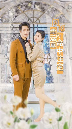 闪婚幸运草的命中注定（82集）-吾爱短剧屋