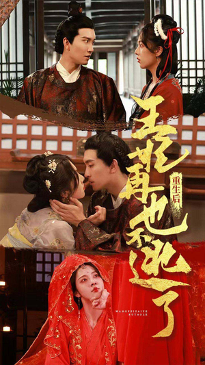 重生后王妃再也不逃了 81集-吾爱短剧屋