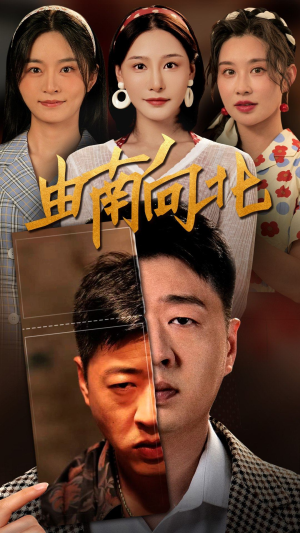 由南向北李会长-吾爱短剧屋