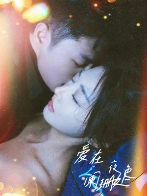 爱在夜色阑珊处-吾爱短剧屋