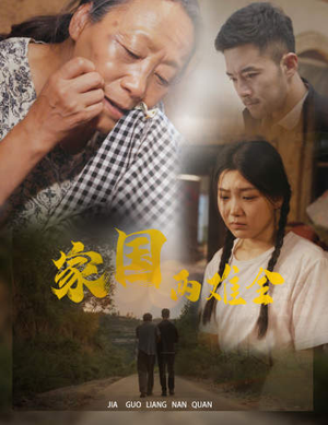 家国两难全-吾爱短剧屋