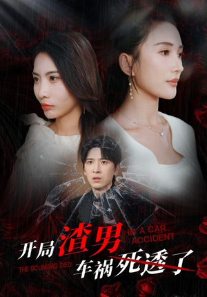开局zha男车祸si透了可凡 维尼-吾爱短剧屋