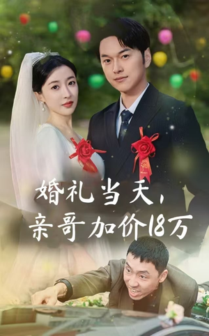 婚礼当天，亲哥加价18万-吾爱短剧屋
