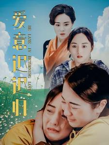 爱意迟迟归-吾爱短剧屋