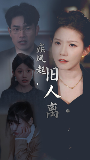 疾风起旧人离-吾爱短剧屋
