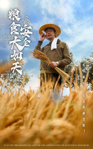 粮食安全大如天程娜-吾爱短剧屋